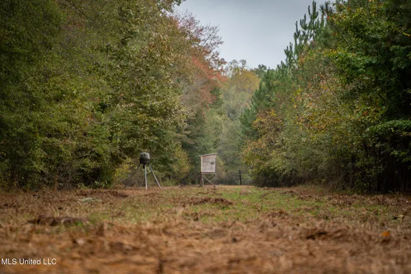 $650,000 | Chisolm Cemetary Road, Collinsville, MS 39325