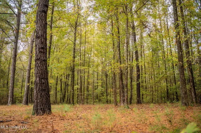 $650,000 | Chisolm Cemetary Road, Collinsville, MS 39325