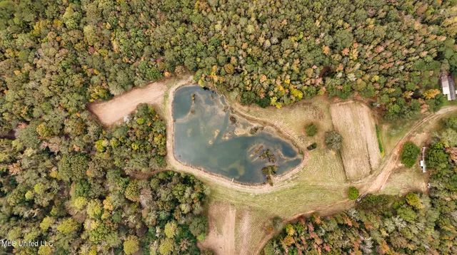 $650,000 | Chisolm Cemetary Road, Collinsville, MS 39325