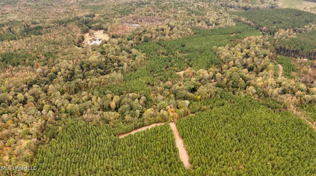 $650,000 | Chisolm Cemetary Road, Collinsville, MS 39325