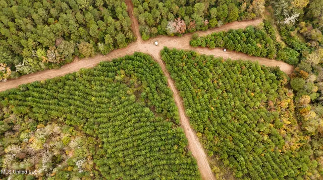 $650,000 | Chisolm Cemetary Road, Collinsville, MS 39325