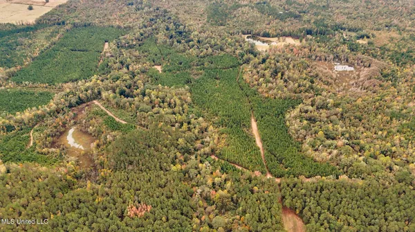 $650,000 | Chisolm Cemetary Road, Collinsville, MS 39325