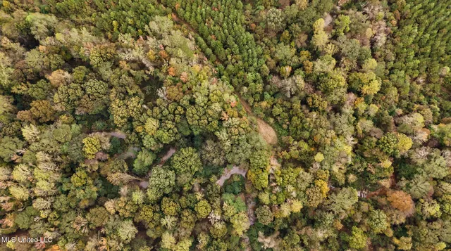 $650,000 | Chisolm Cemetary Road, Collinsville, MS 39325