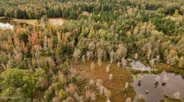 $650,000 | Chisolm Cemetary Road, Collinsville, MS 39325