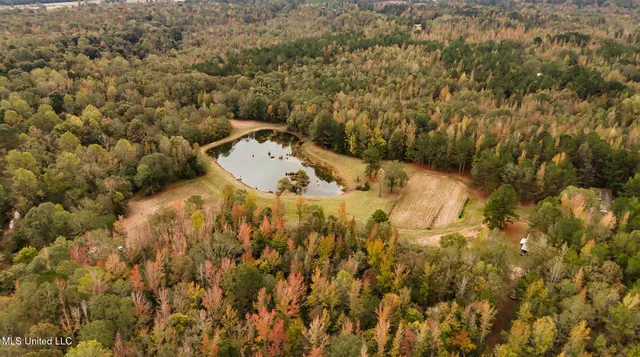 $650,000 | Chisolm Cemetary Road, Collinsville, MS 39325