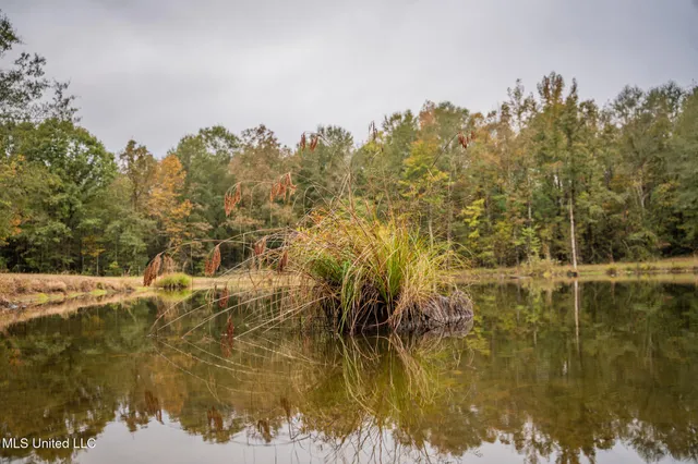 $650,000 | Chisolm Cemetary Road, Collinsville, MS 39325