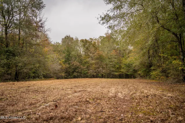$650,000 | Chisolm Cemetary Road, Collinsville, MS 39325