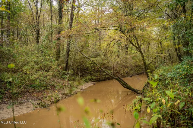 $650,000 | Chisolm Cemetary Road, Collinsville, MS 39325