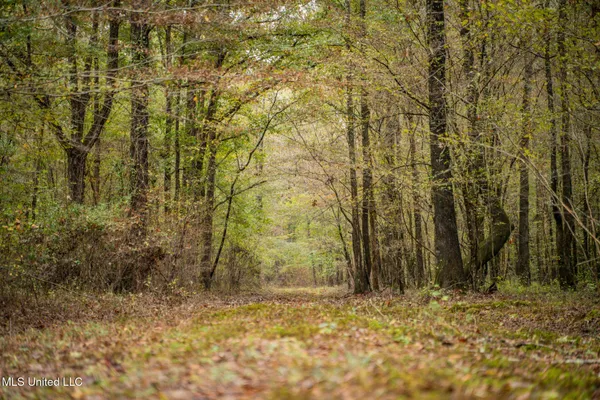 $650,000 | Chisolm Cemetary Road, Collinsville, MS 39325