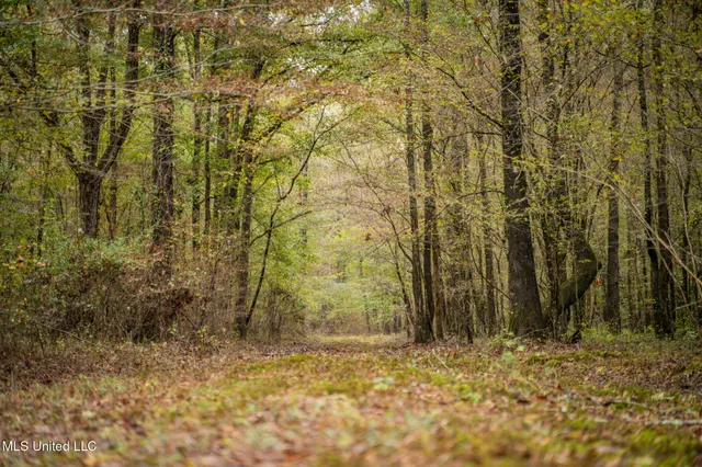 $650,000 | Chisolm Cemetary Road, Collinsville, MS 39325