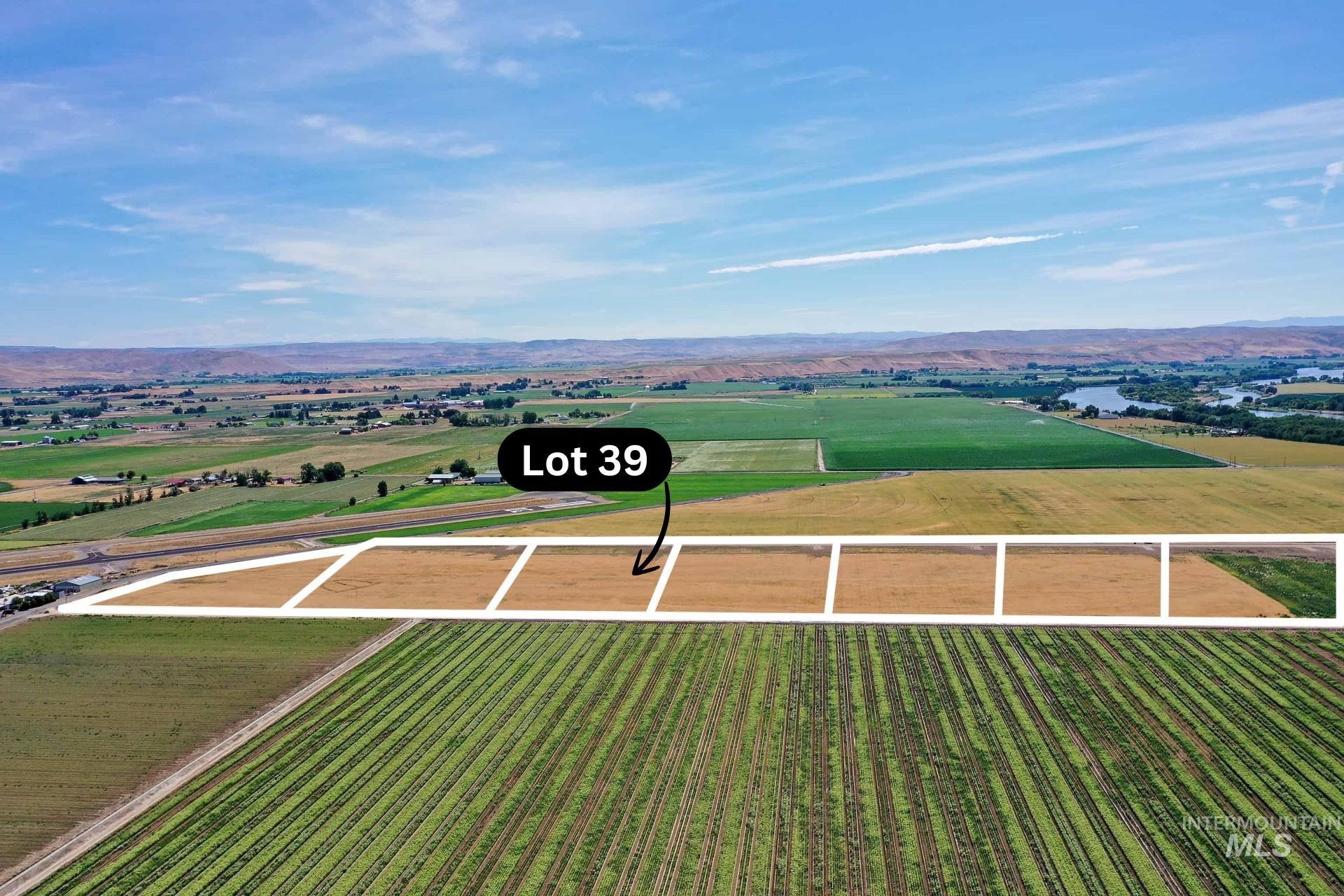 Overview of rural landscape featuring a mountainous background and rows of crops