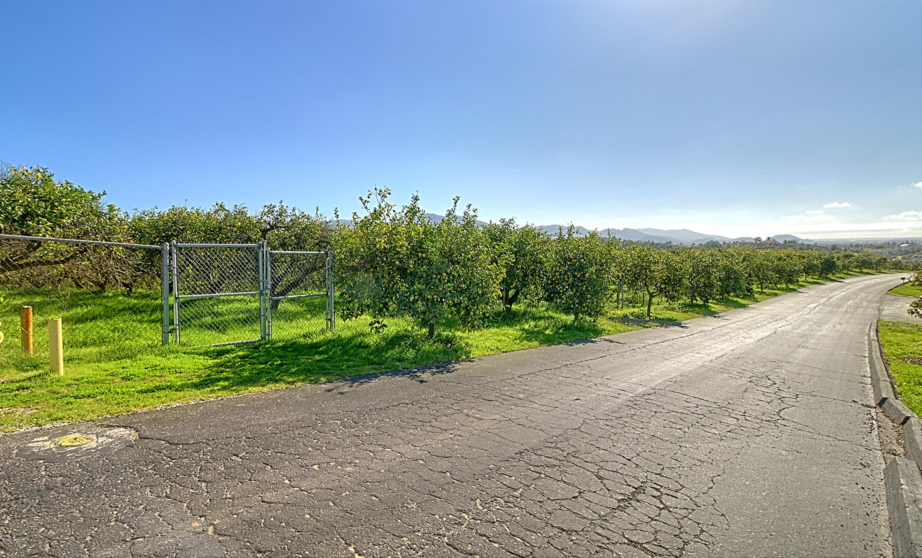 5940 Worth Way Camarillo, CA 93012 - Photo 65 of 67 0197_IMG_0592