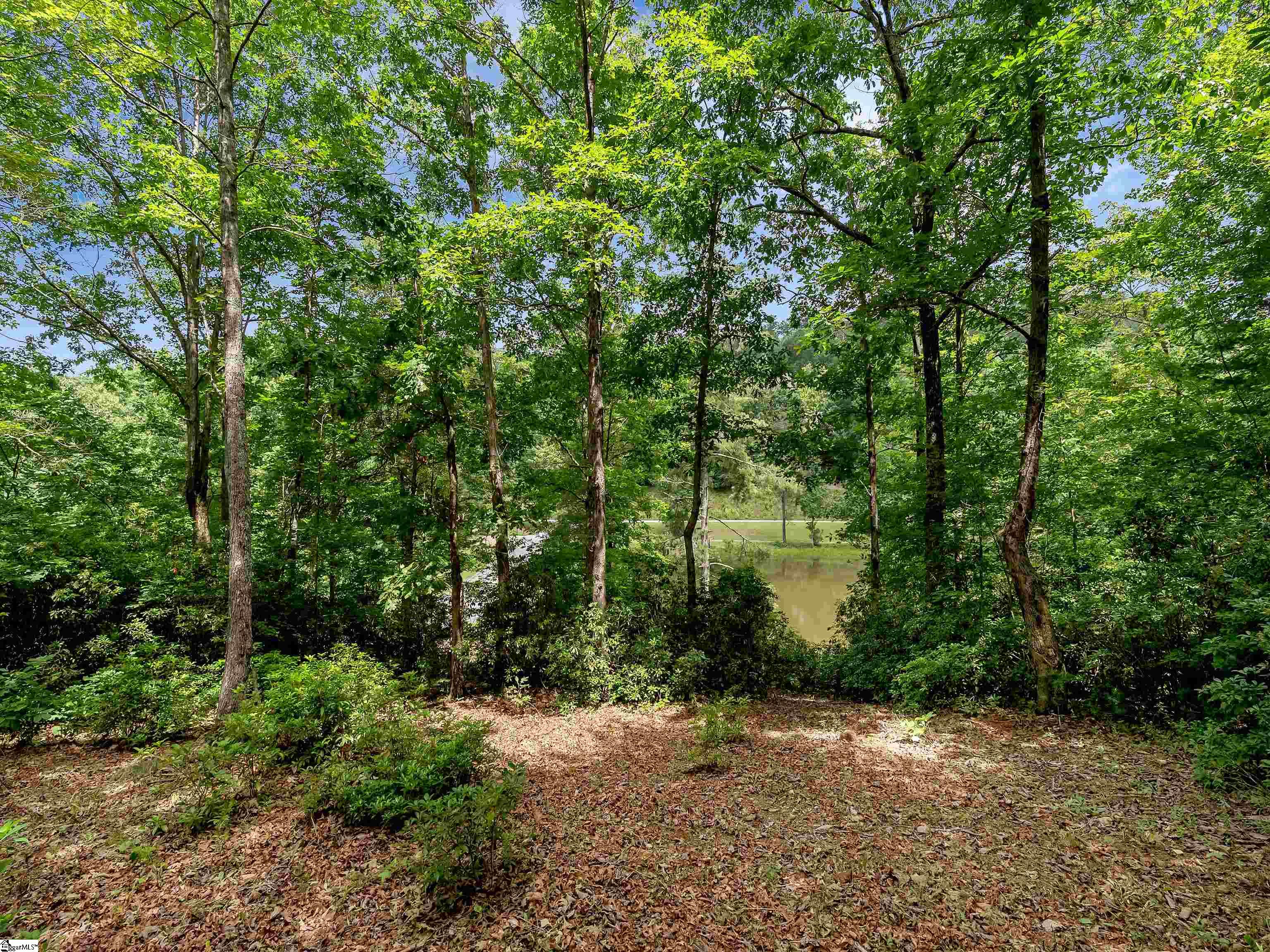 25 Lakes Edge Way Marietta, SC 29661 - Photo 2 of 18