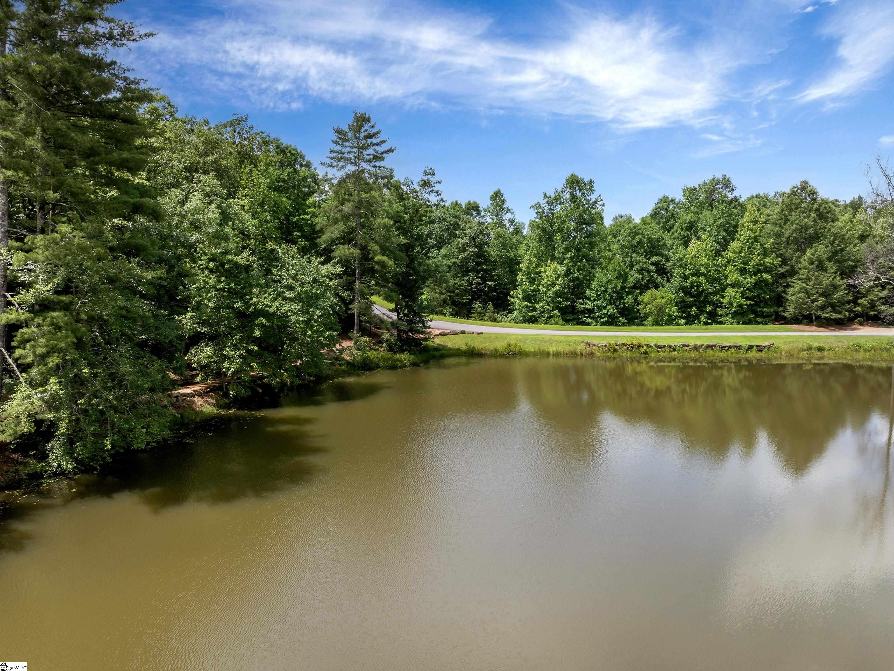 25 Lakes Edge Way Marietta, SC 29661 - Photo 5 of 18