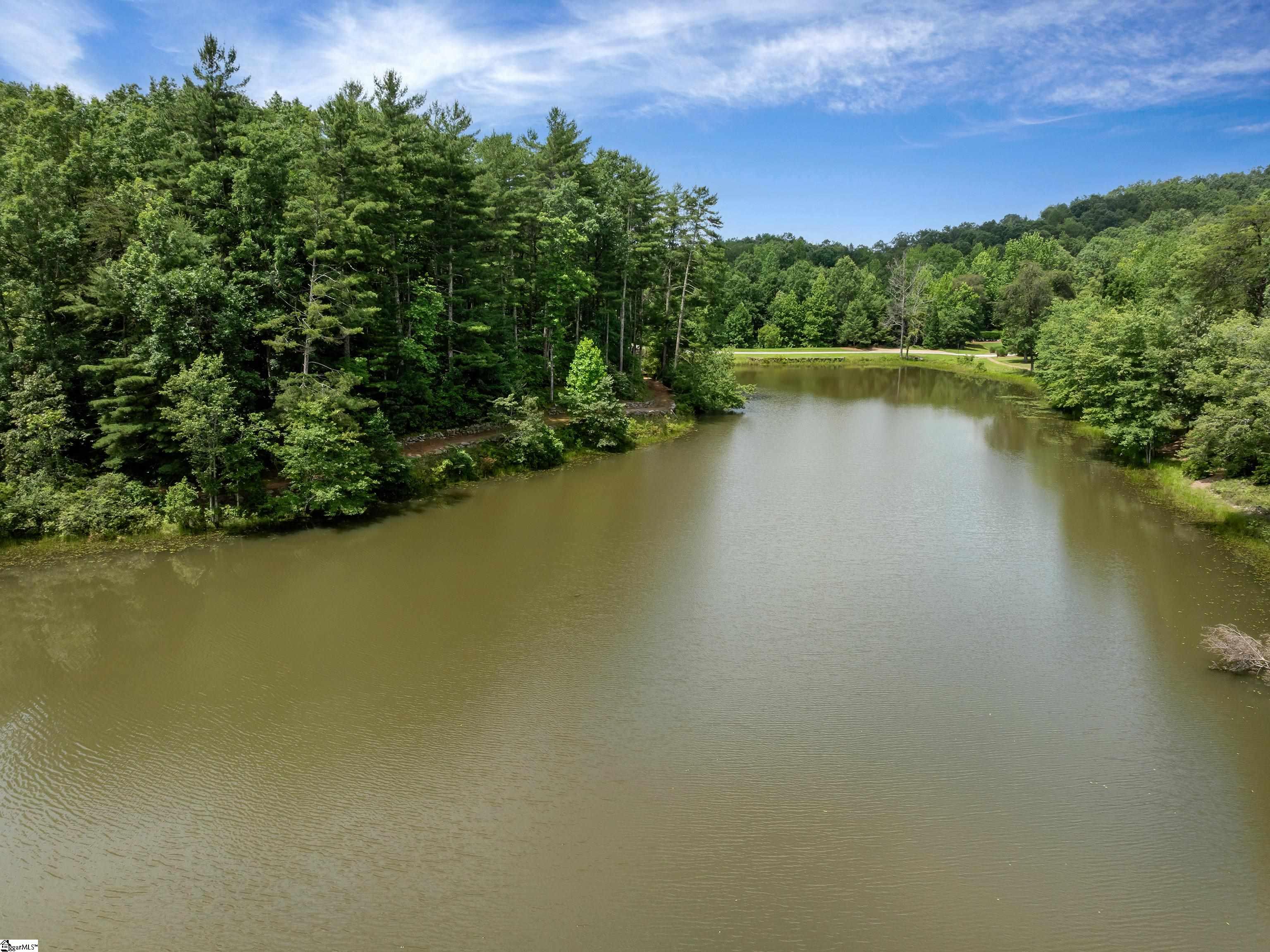 25 Lakes Edge Way Marietta, SC 29661 - Photo 6 of 18