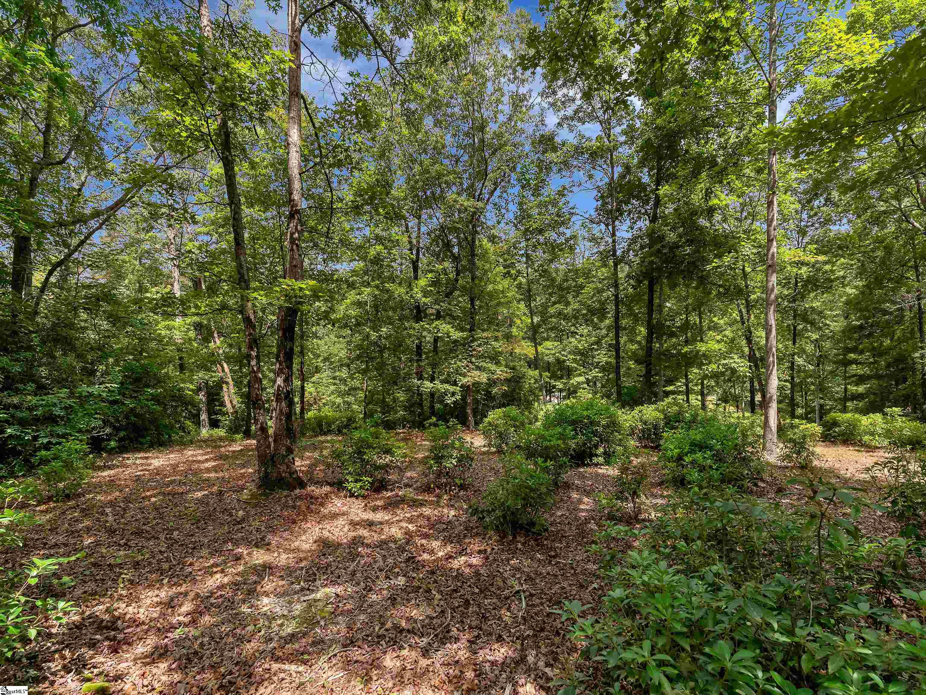 25 Lakes Edge Way Marietta, SC 29661 - Photo 9 of 18