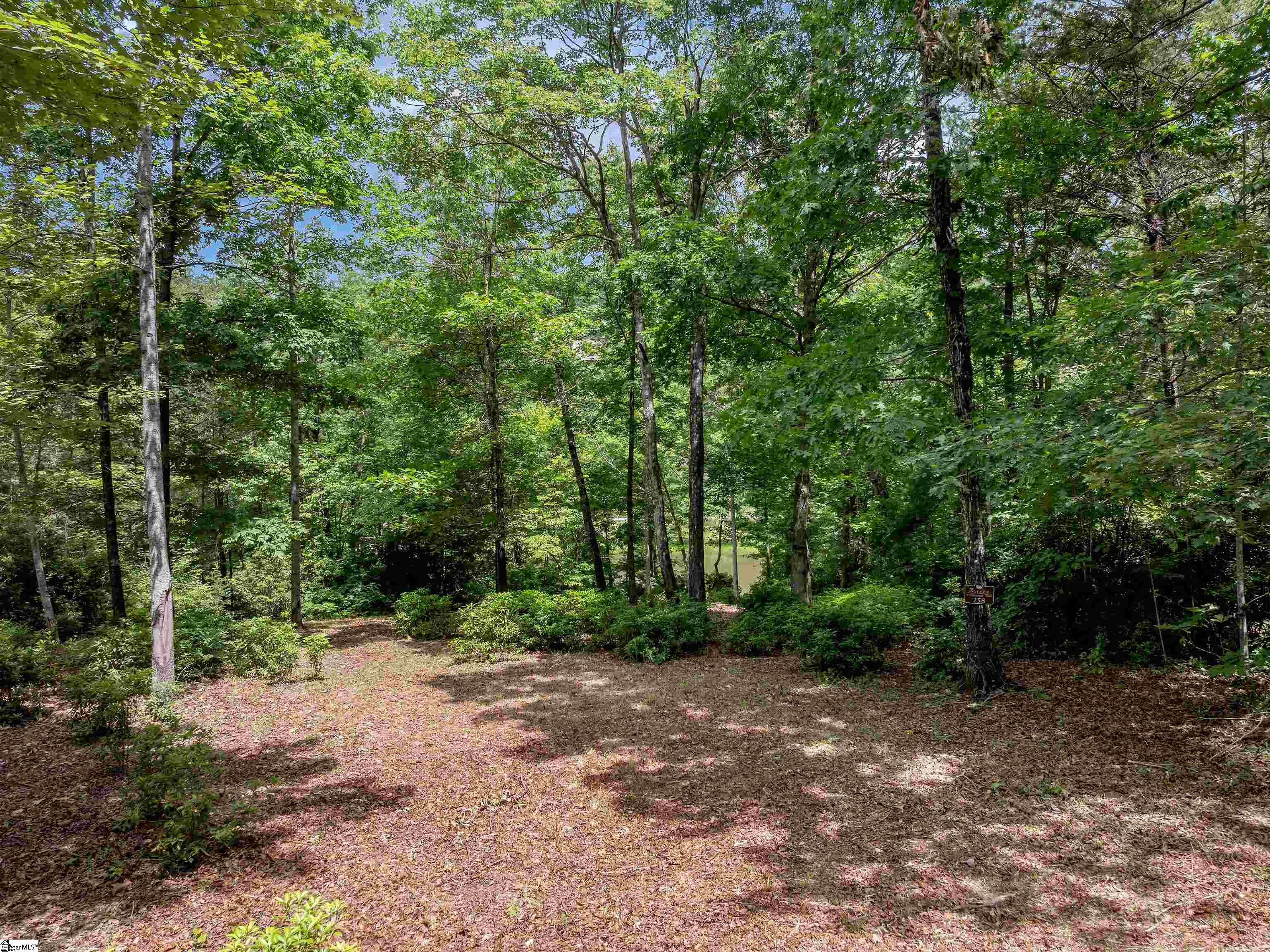 25 Lakes Edge Way Marietta, SC 29661 - Photo 10 of 18