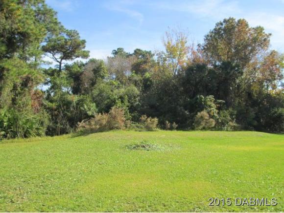 1861 South Pinedale Road Edgewater, FL 32141 - Photo 2 of 21 Additional Photo