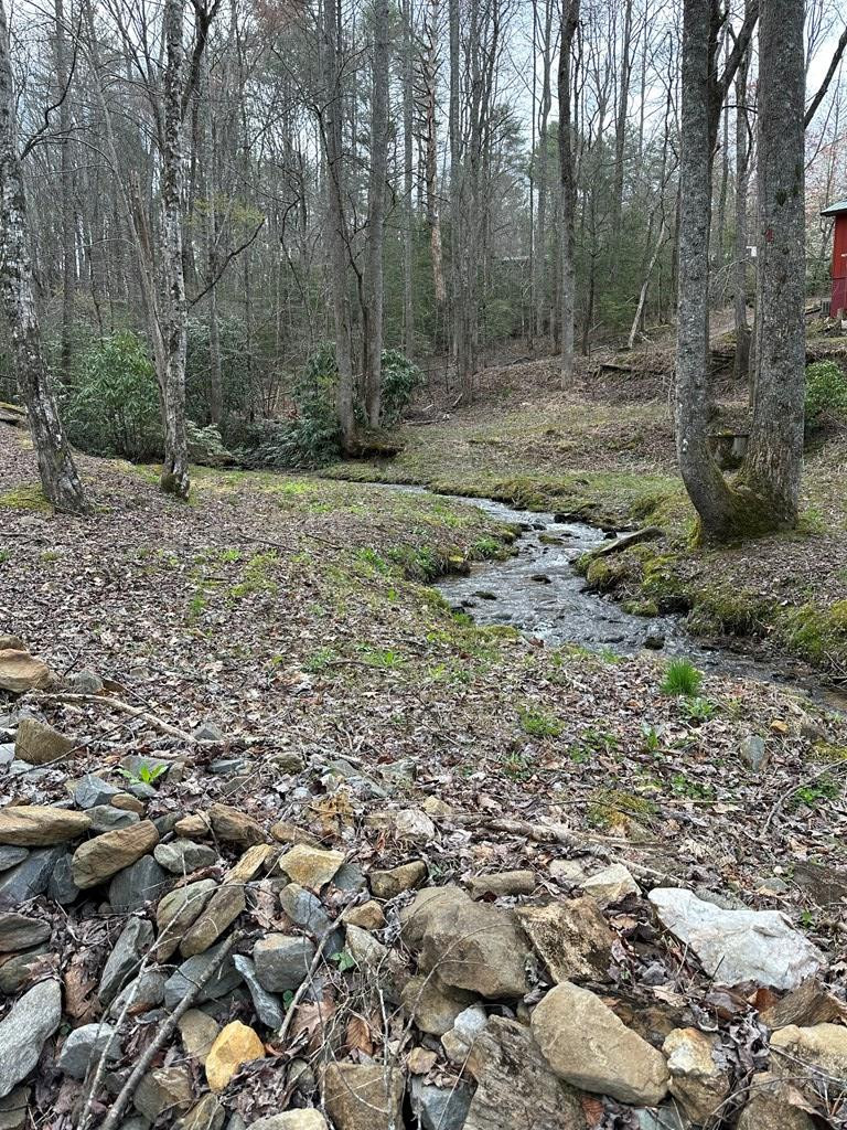 140 Old Whitener Road Murphy, NC 28906 - Photo 43 of 60