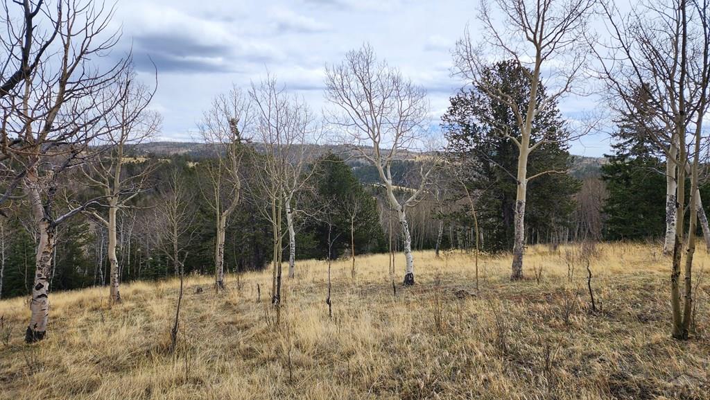 0 County Road Victor, CO 80860 - Photo 11 of 21
