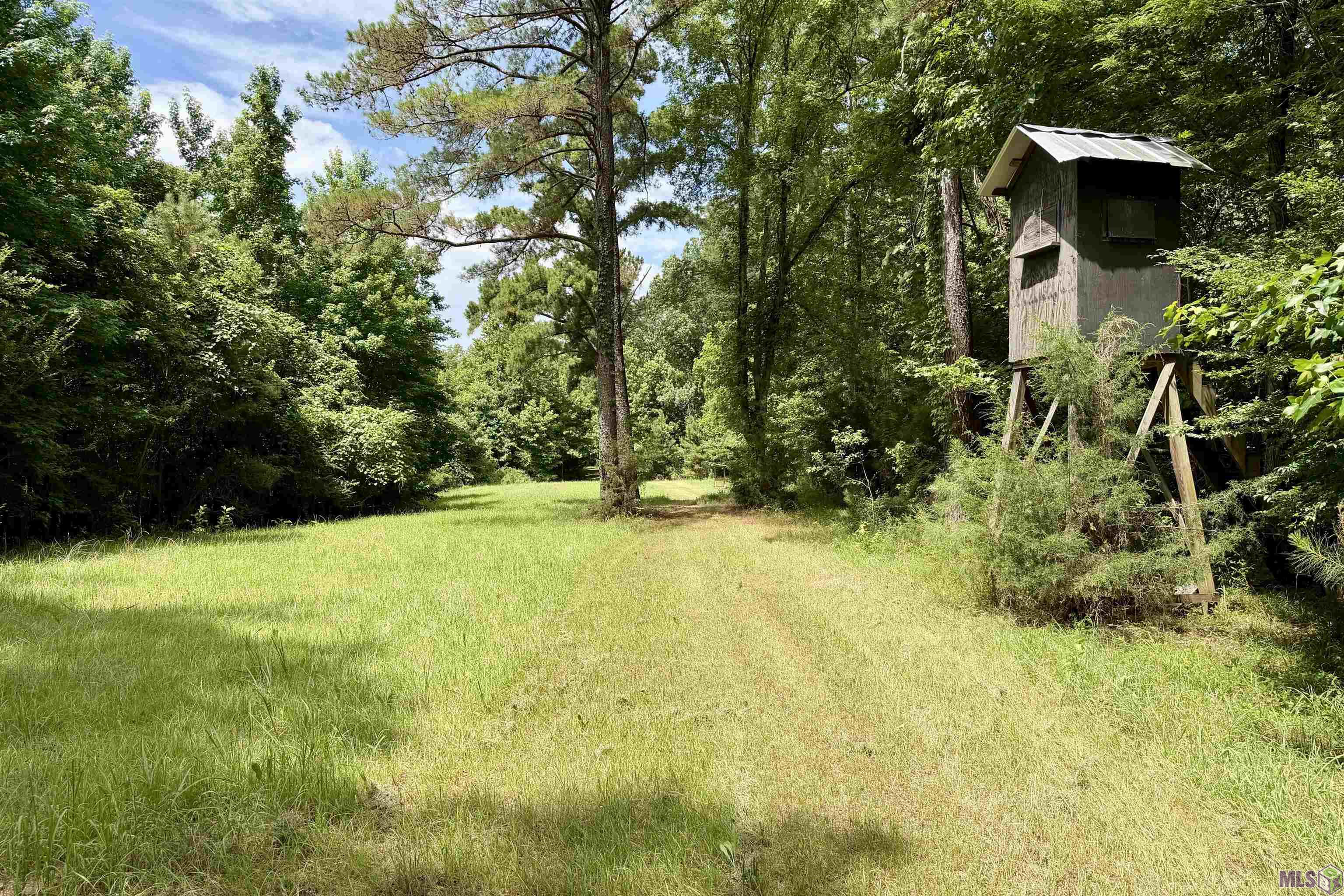 655 Oil Well Road Fayette, MS 39069 - Photo 26 of 58