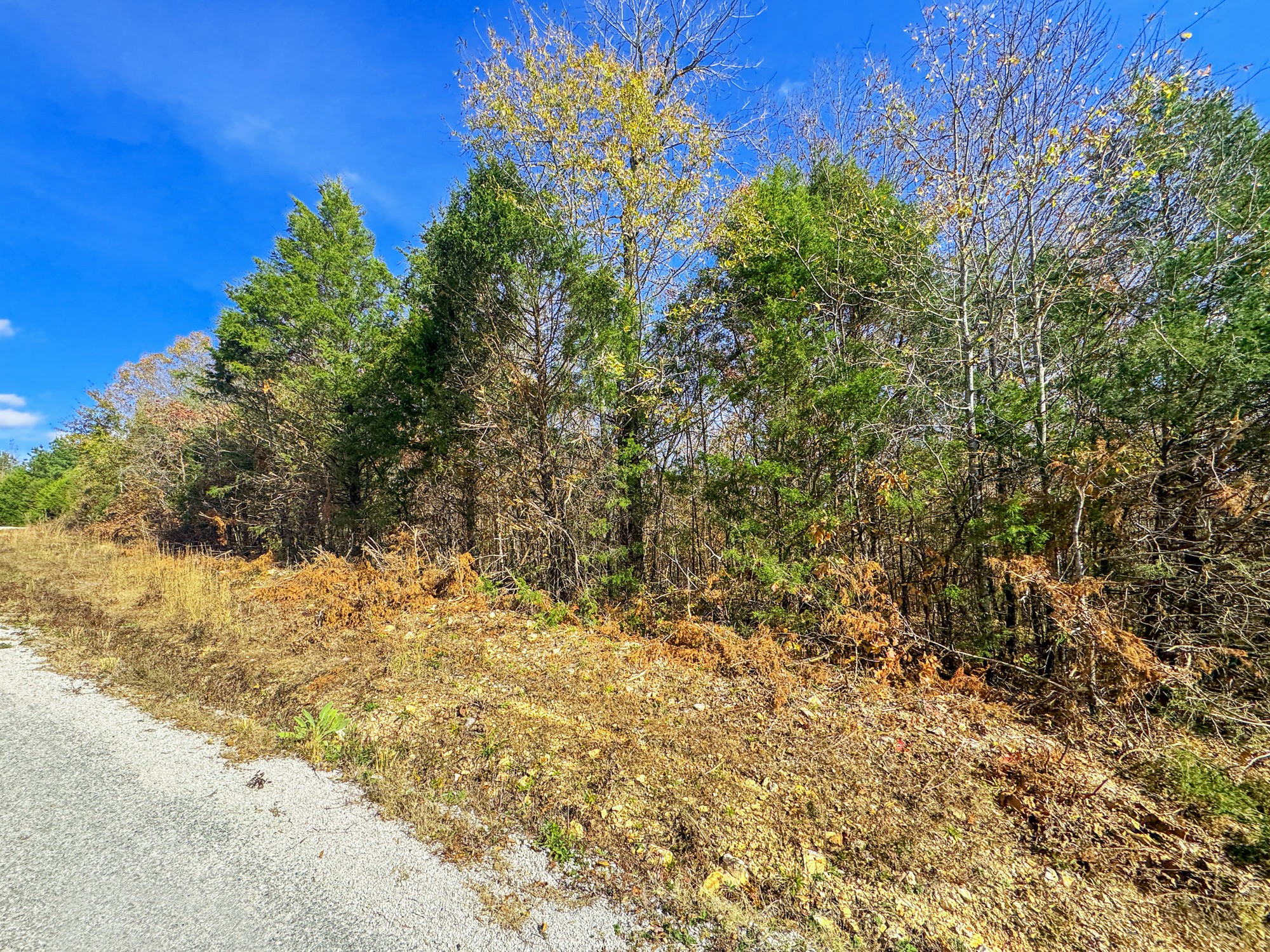 0 Beech Ridge Road Parsons, TN 38363 - Photo 6 of 10