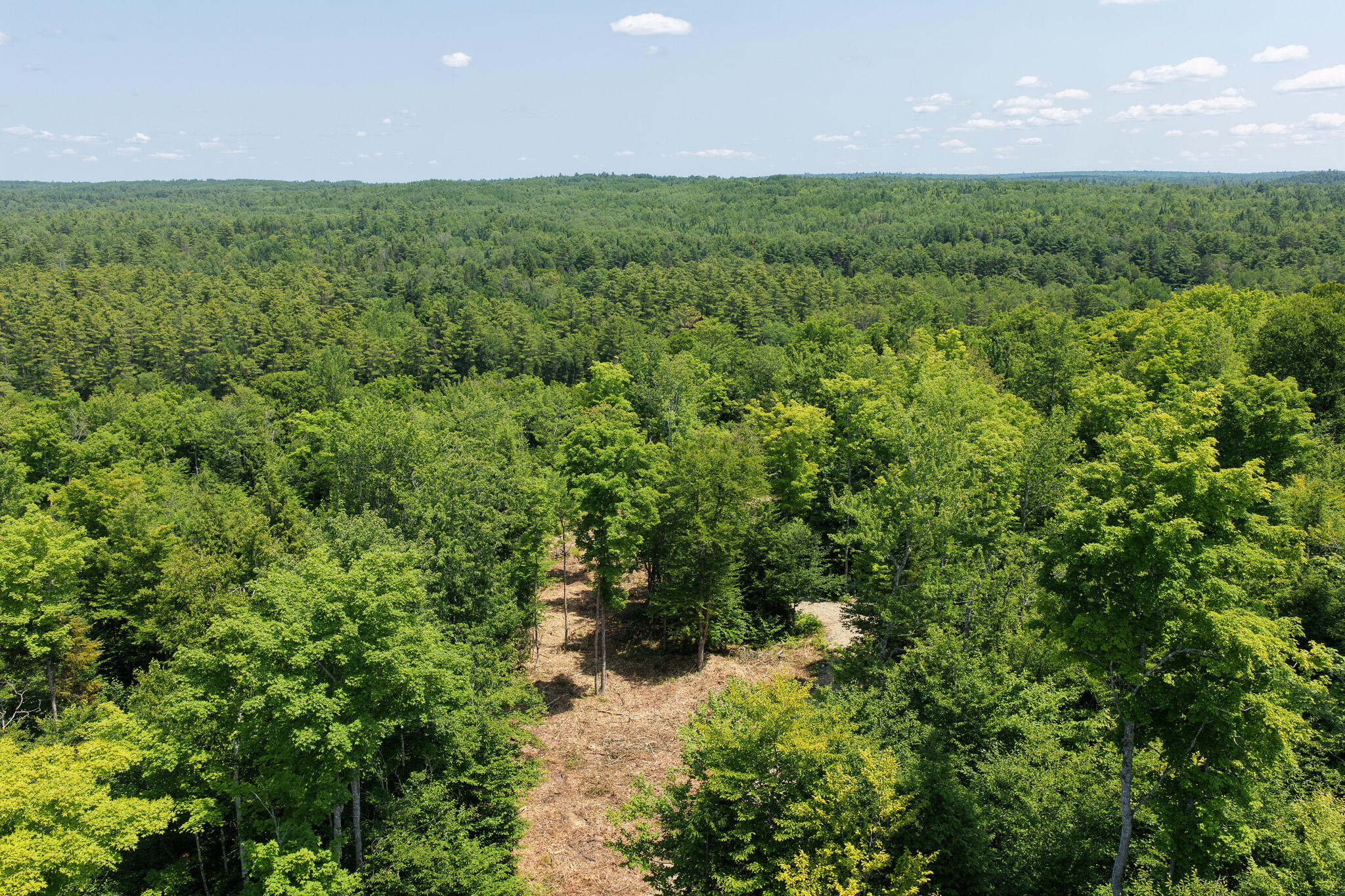 50 Wilderness Park Road Winn, ME 04495 - Photo 4 of 30 4