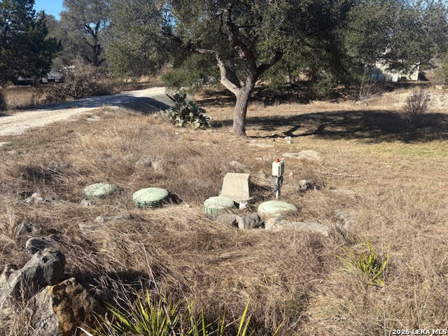 254 Jolie Drive Spring Branch, TX 78070 - Photo 4 of 16 a view of a yard with large trees