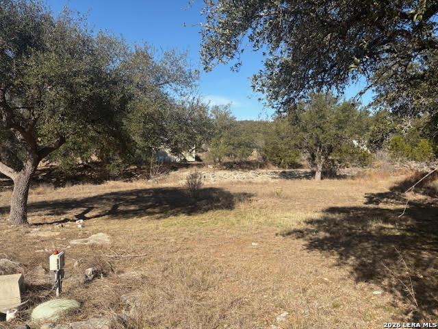 254 Jolie Drive Spring Branch, TX 78070 - Photo 6 of 16 a view of snow on the road