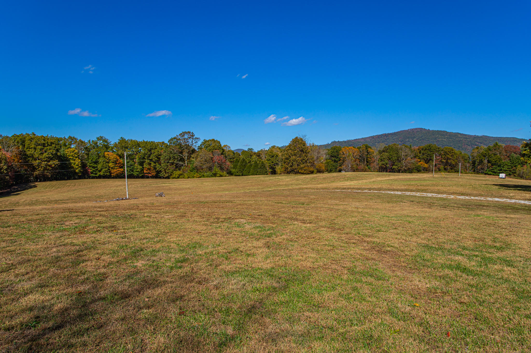 229 Fox Jones Road Lancing, TN 37770 - Photo 2 of 33 229FoxJones-36