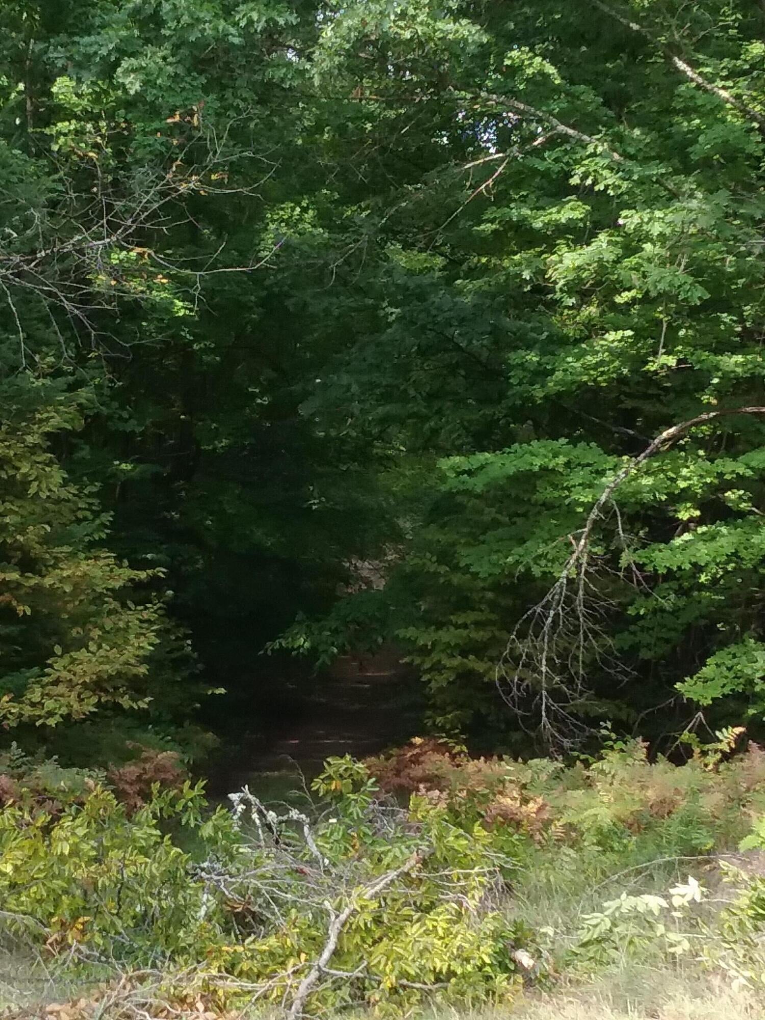 Par # 24 Isabell Trail Wolverine, MI 49799 - Photo 5 of 7 Gallery Image 5