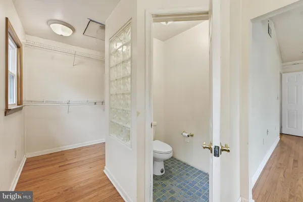 a bathroom with a shower and a toilet