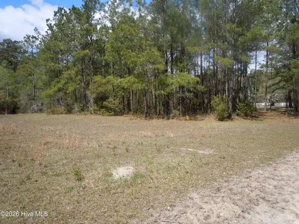 $59,000 | 9870 Rivergate Drive Northwest, Ash, NC 28420