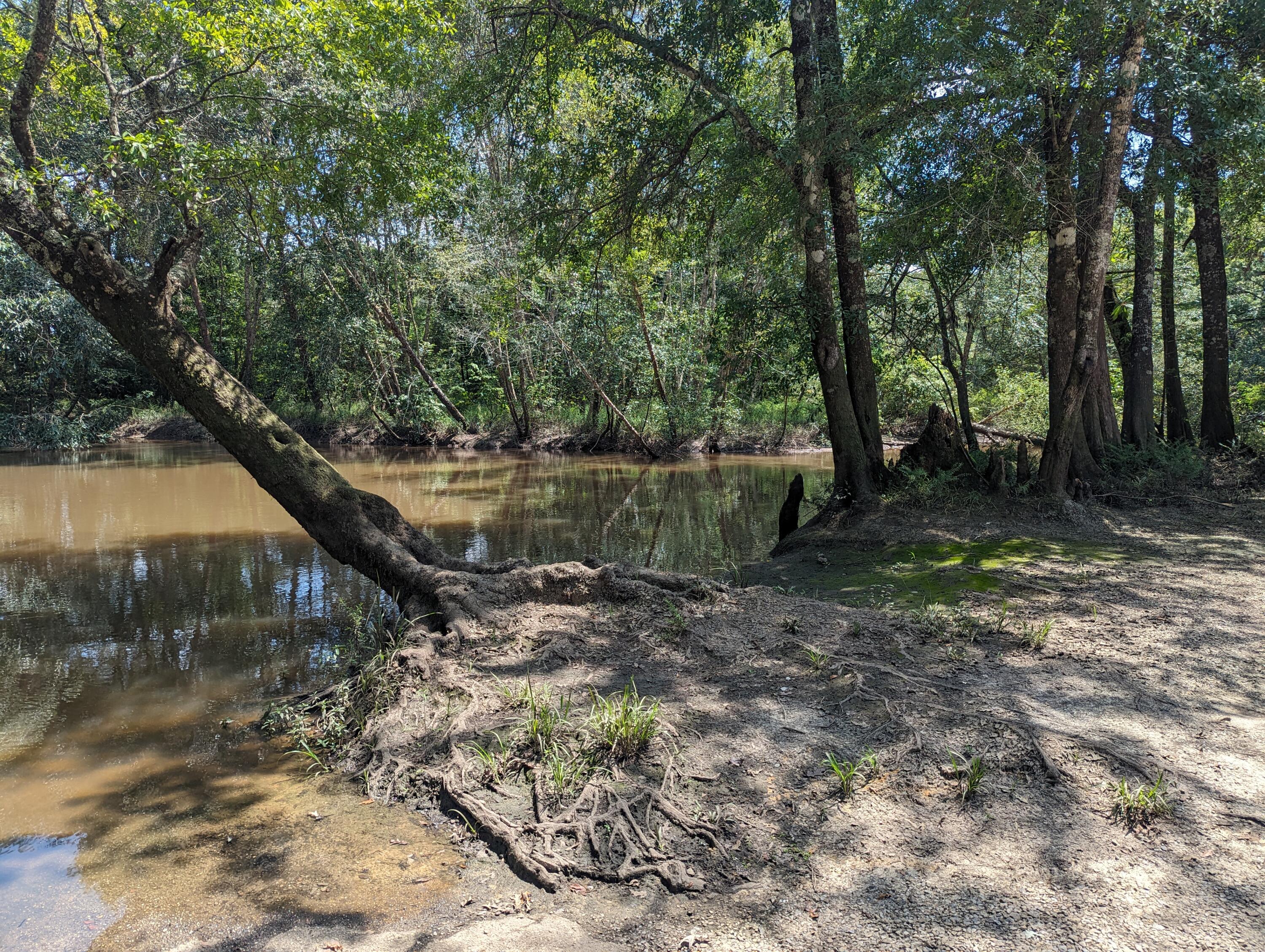 1.81-ac Retreat Inlet Baker, FL 32531 - Photo 12 of 19 a backyard of a house with lots of green space