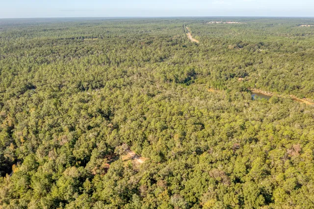 a view of a city with an ocean