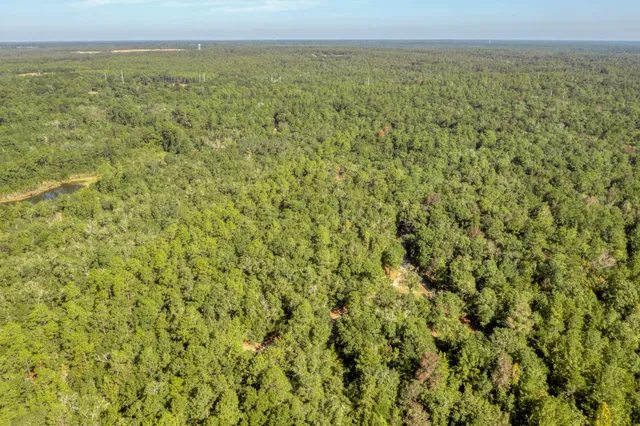 a backyard of a house with lots of trees
