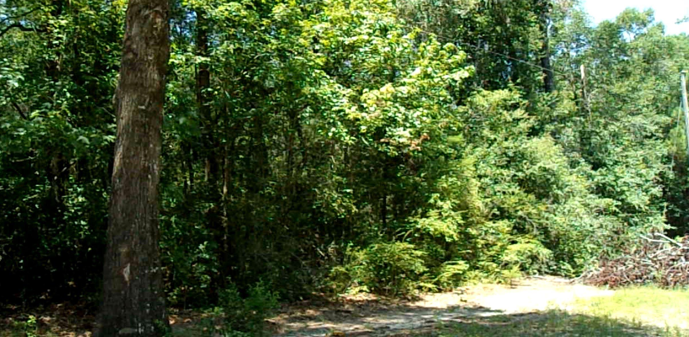1.81-ac Retreat Inlet Baker, FL 32531 - Photo 6 of 19 a view of a lush green forest
