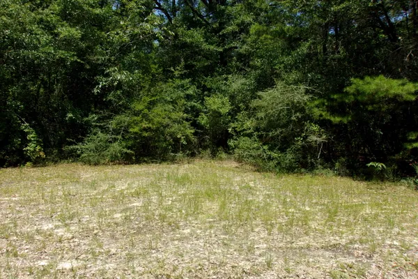 a view of a yard with an trees