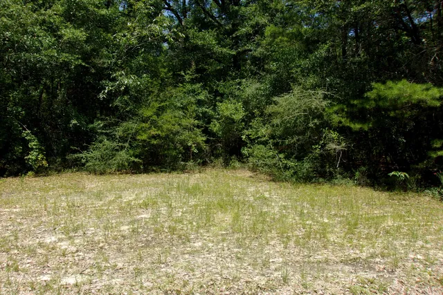 a view of a yard with an trees