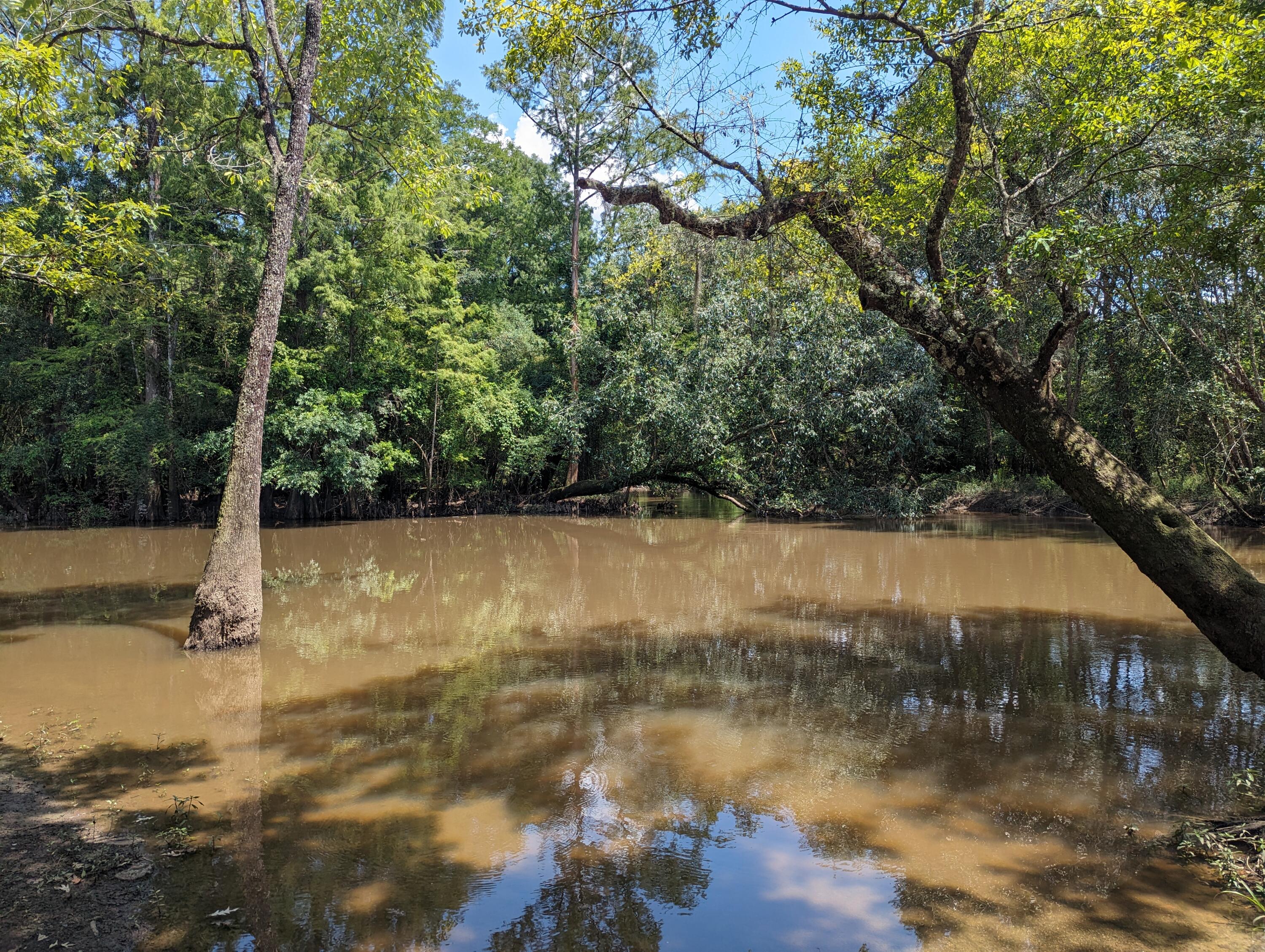 1.81-ac Retreat Inlet Baker, FL 32531 - Photo 10 of 19 a view of a lake view