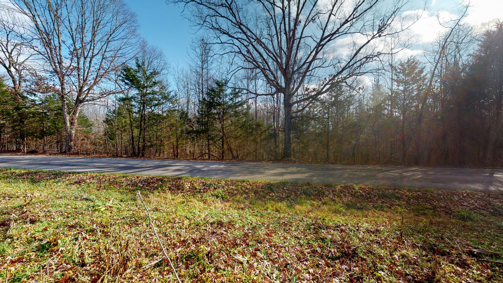 0 Maxwell Hill Road Pulaski, TN 38478 - Photo 3 of 11 Gallery Image 3