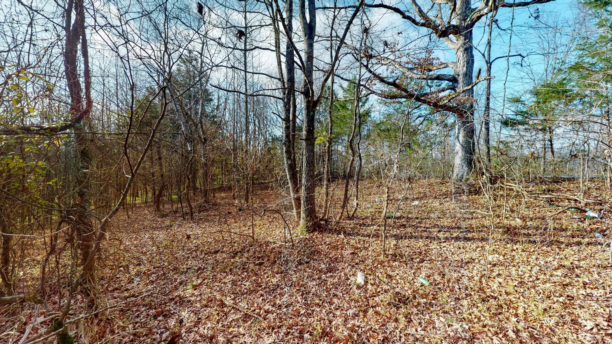 0 Maxwell Hill Road Pulaski, TN 38478 - Photo 5 of 11 Gallery Image 5