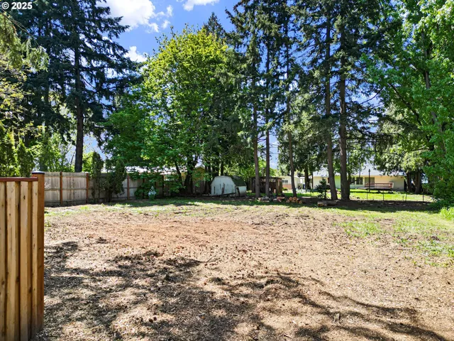a street view covered with trees