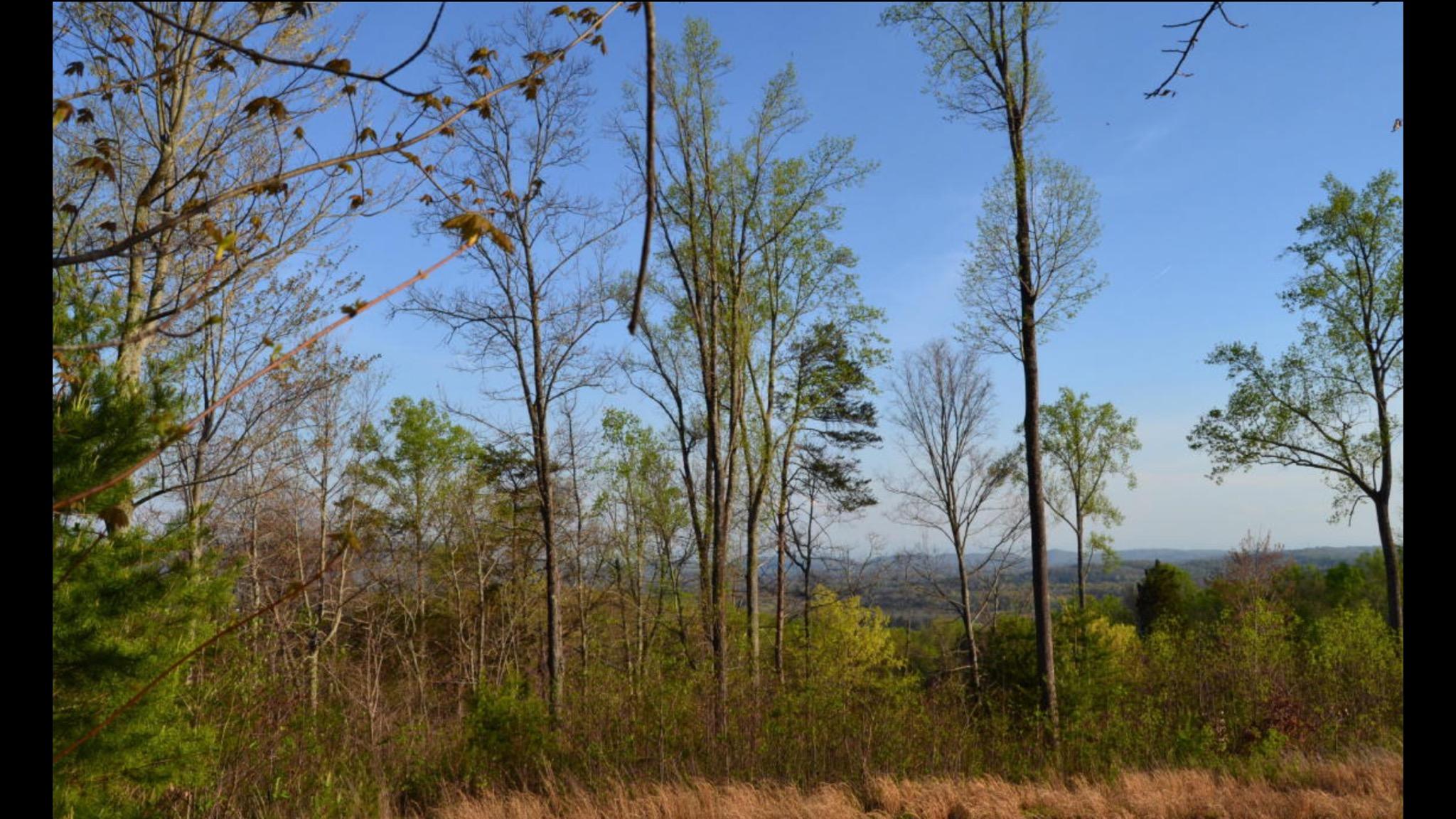 Waverly Circle Corryton, TN 37721 - Photo 1 of 4 Waverly Circle 4