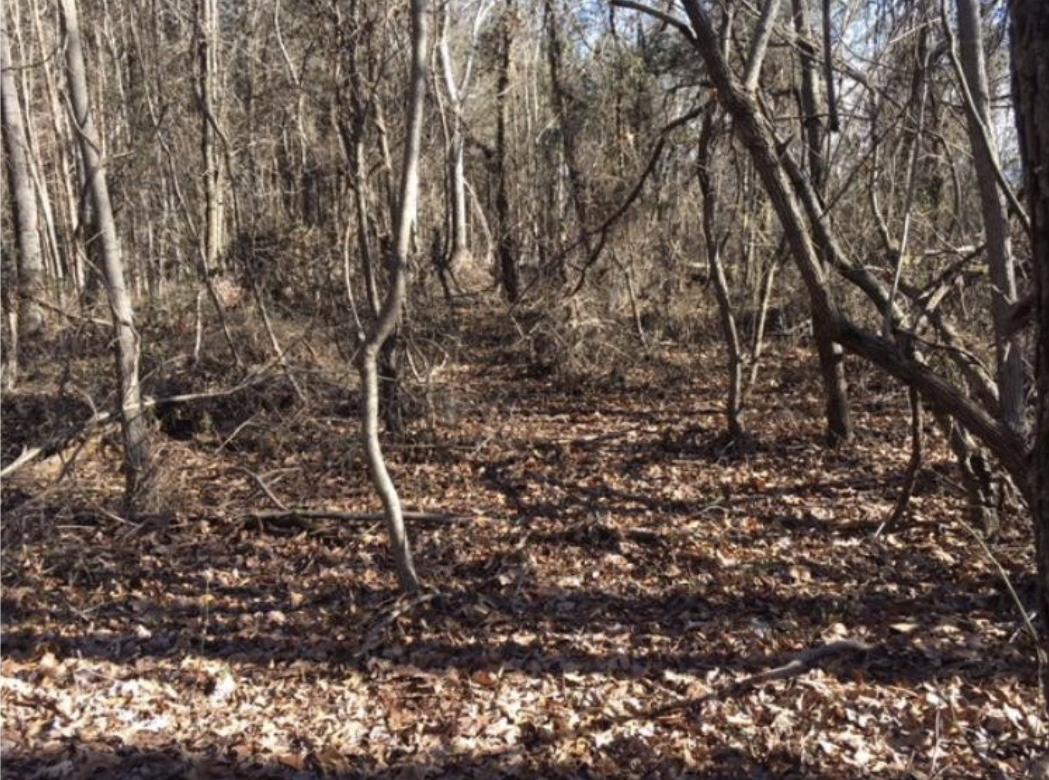 Waverly Circle Corryton, TN 37721 - Photo 2 of 4 Waverly Circle 1