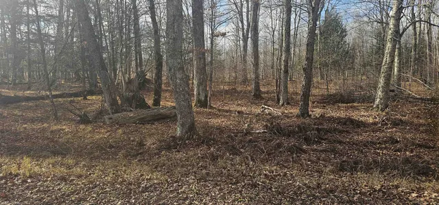 $20,000 | Chip N Dale Drive, Unit 64, Pickerel, WI 54465