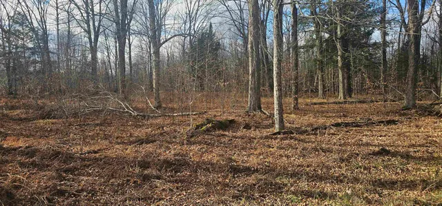 $20,000 | Chip N Dale Drive, Unit 64, Pickerel, WI 54465