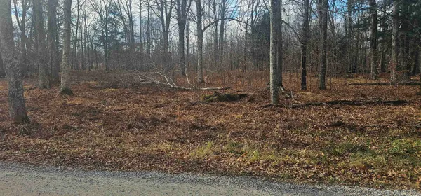 $20,000 | Chip N Dale Drive, Unit 64, Pickerel, WI 54465