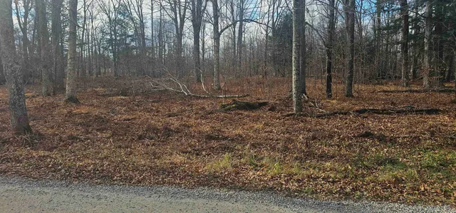 $20,000 | Chip N Dale Drive, Unit 64, Pickerel, WI 54465