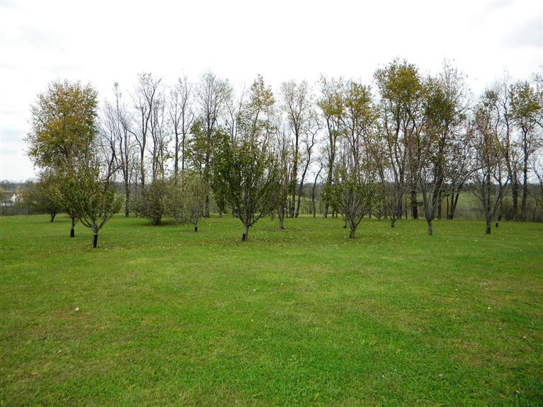 2735 North Middletown Road Paris, KY 40361 - Photo 45 of 54 Photo 45
